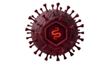 Herpes zoster fire pox