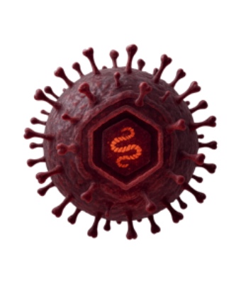Herpes zoster fire pox